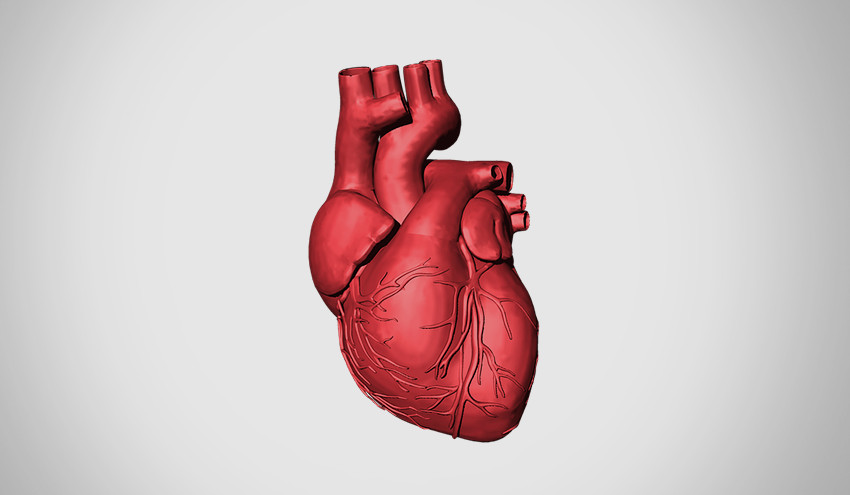 Il Cuore Ai Tempi Del Covid 19 Gli Esperti Ace Inibitori E Sartani Non Vanno Sospesi Policlinico Universitario A Gemelli Irccs